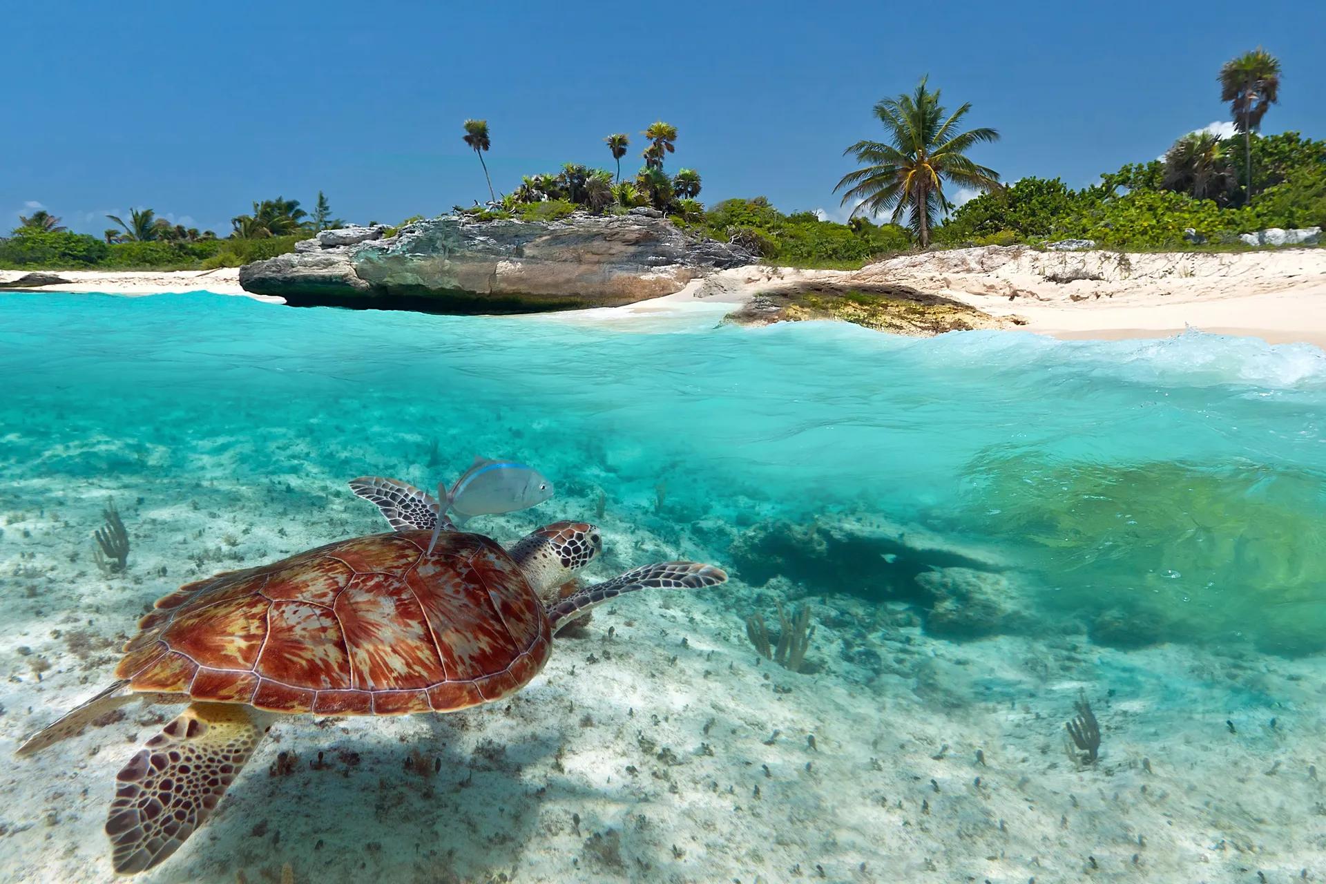 Playa del Carmen 