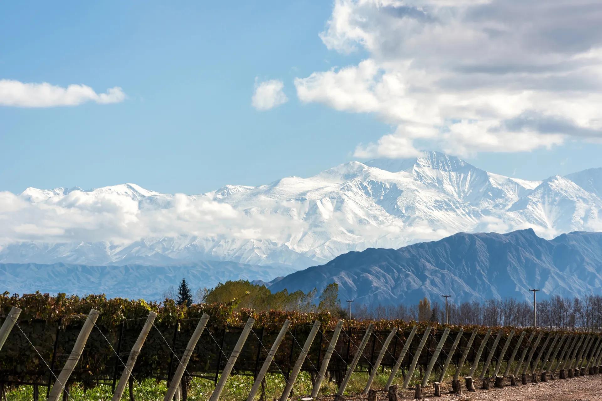 Mendoza